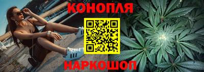 гашик Камышлов