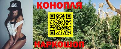 гашик Камышлов
