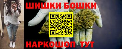 гашик Камышлов