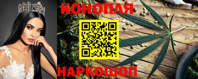 гашик Камышлов