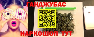 гашик Камышлов