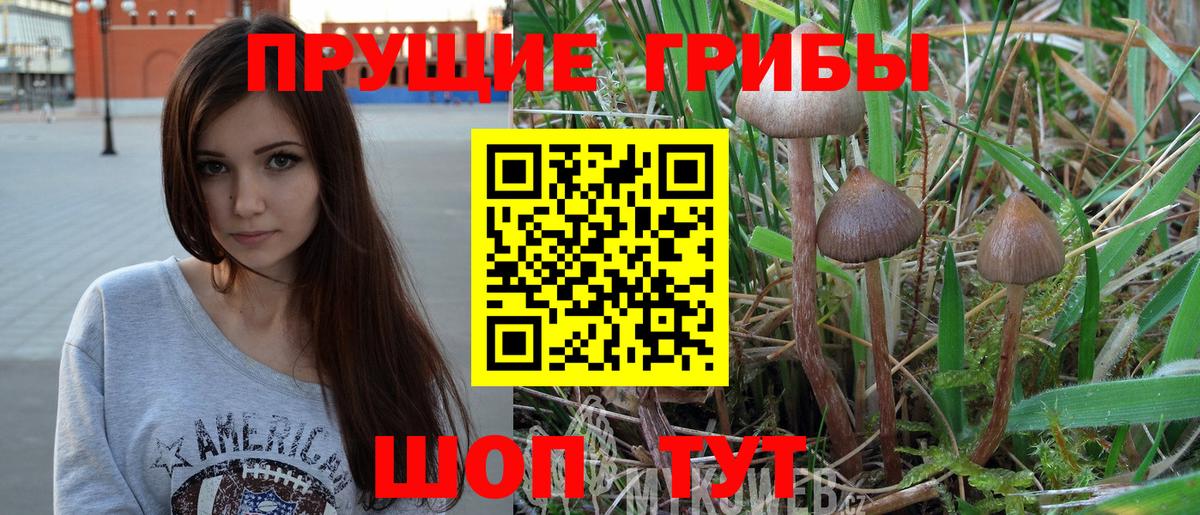 купить закладку  Галлюциногенные грибы мухоморы  Вход с VPN  Красноуфимск 